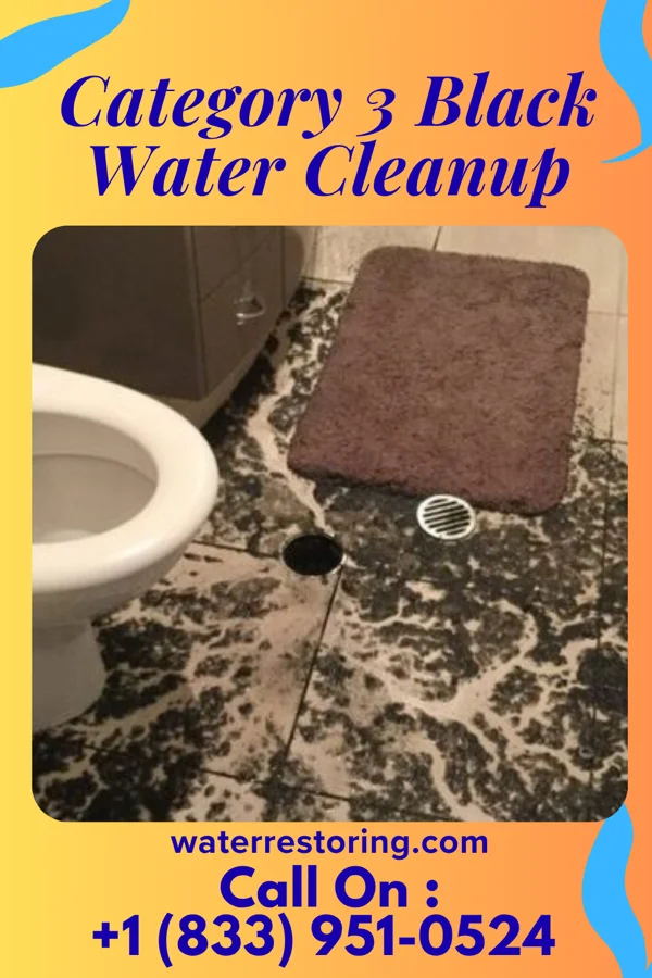 Category 3 Black Water Cleanup in Mount Ayr, IA