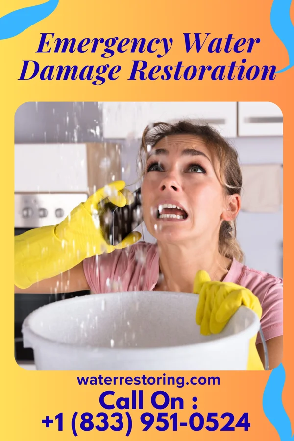 Emergency Water Damage Restoration in Mount Ayr, IA