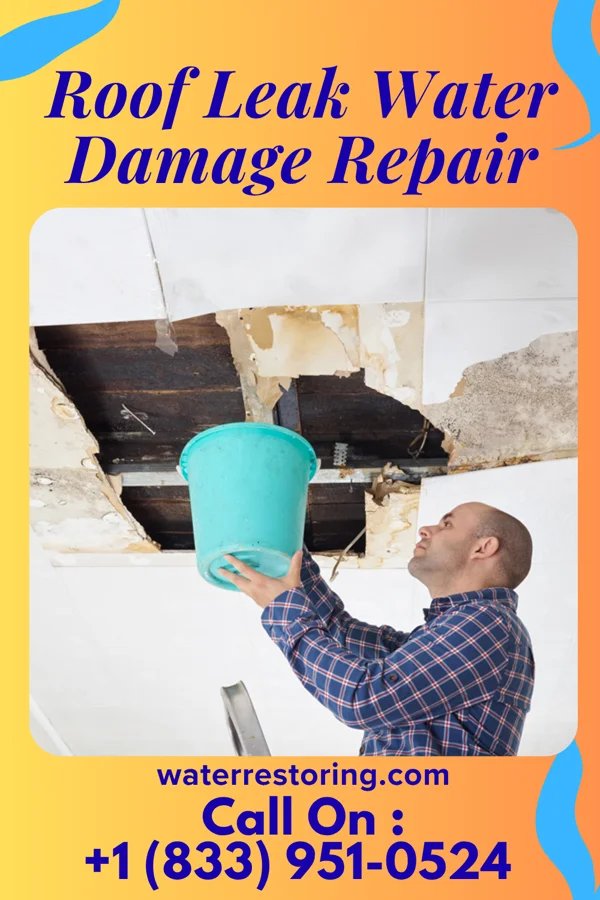 Roof Leak Water Damage Repair in Mount Ayr, IA